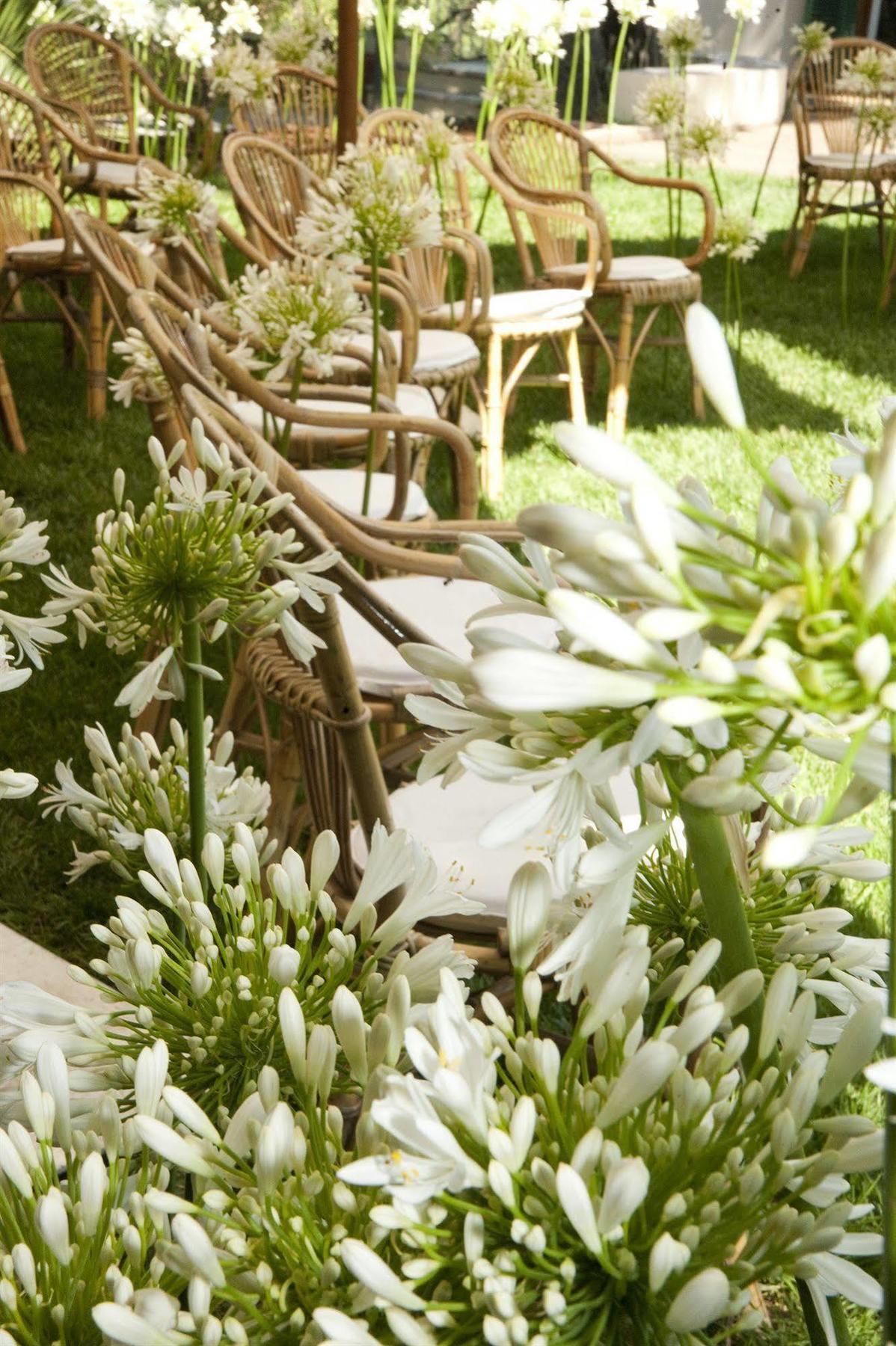 Villa Magnolia Relais Рим Екстериор снимка